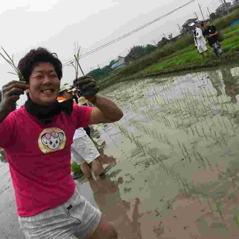 社会見学リンク写真