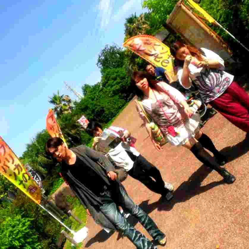 大人の遠足 リンク写真